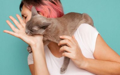 How Do You Discipline a Cat the Right Way