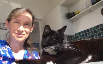Do Cats Mirror Their Owner’s Emotions